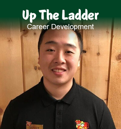 Up The Ladder - Career Development