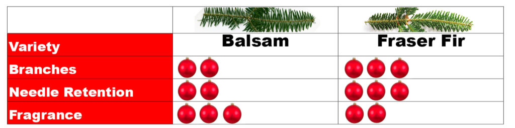 Tree_Varietal_1600x400 Balsam Fir and Fraser Fir Comparison Chart