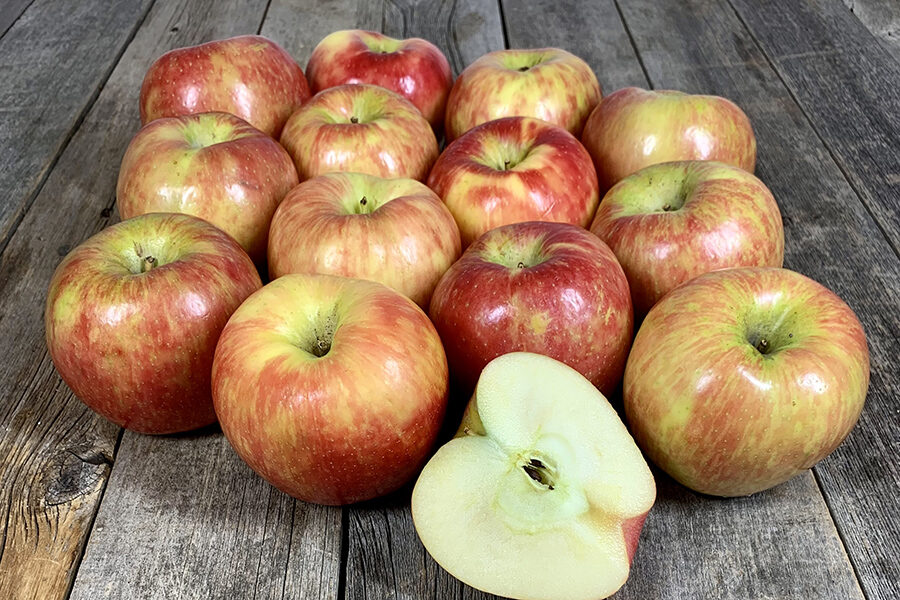 https://www.stewleonards.com/wp-content/uploads/2023/10/HoneyCrisp_900x600-900x600.jpg