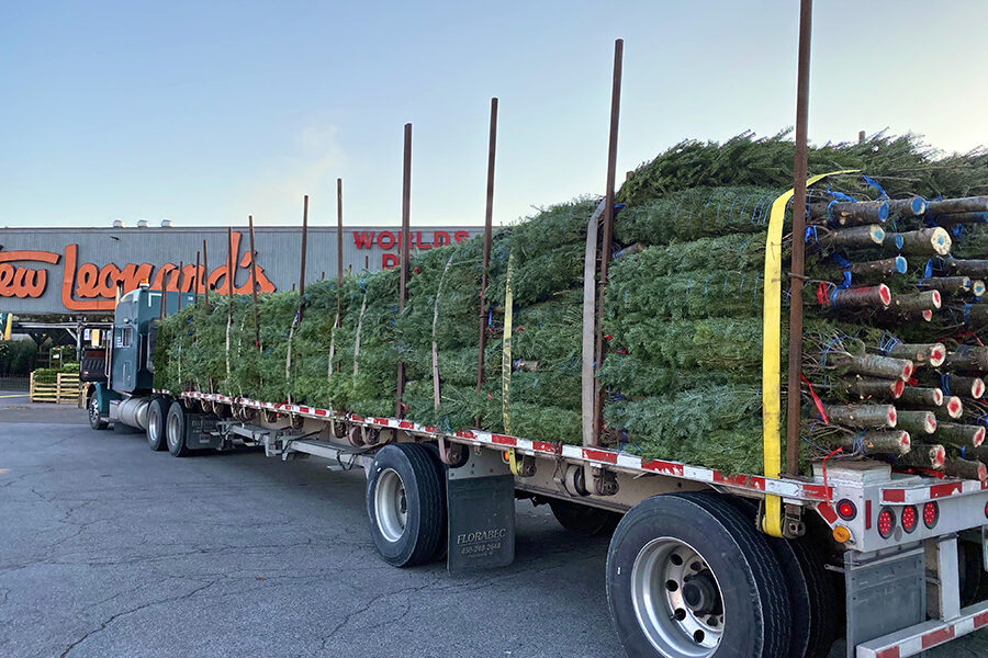 https://www.stewleonards.com/wp-content/uploads/2023/11/Tree_Delivery_900x600-900x600.jpg