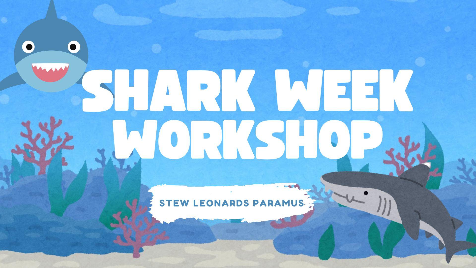 Shark Week Workshop