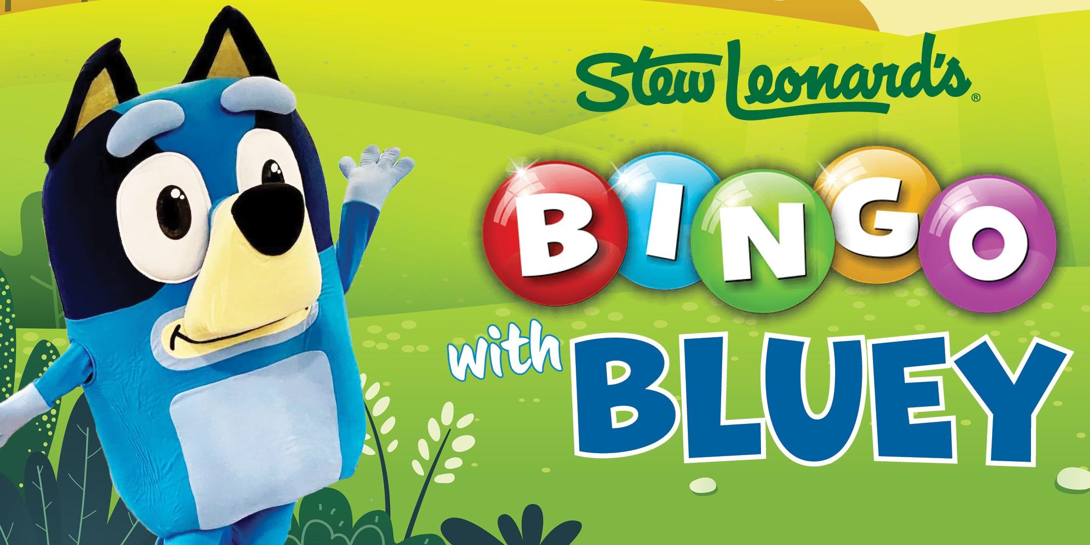 Bingo with Bluey