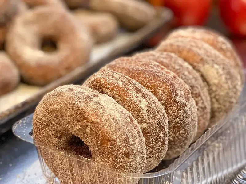 Apple Cider Donuts-800x600