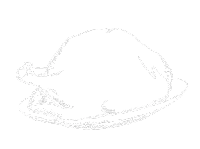 turkey-white-outline
