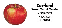 cortland-apples