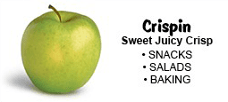 crispin-apples