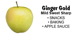 ginger-gold-apples