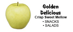 golden-delicious-apples