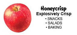 honeycrisp-apples