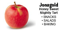 jonagold-apples