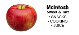 mcintosh-apples