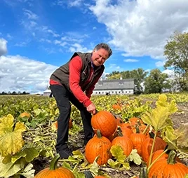 pumpkins