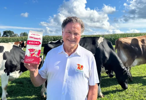 stew_dairy