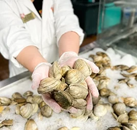 clams