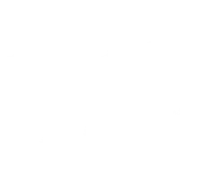 bows-white
